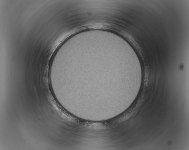 X0000115180986200912091043