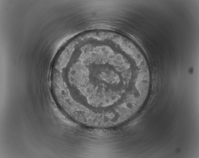 X0000115180987200912091043