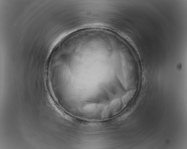 X0000115180989200912091043