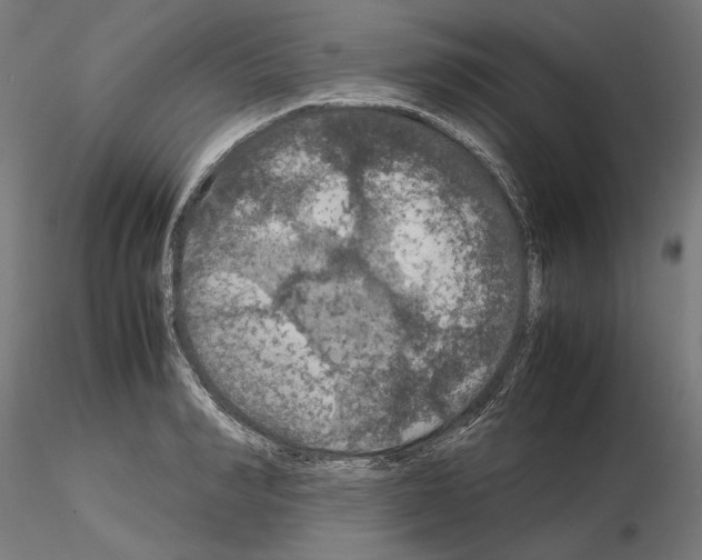 X0000115180990200912091043