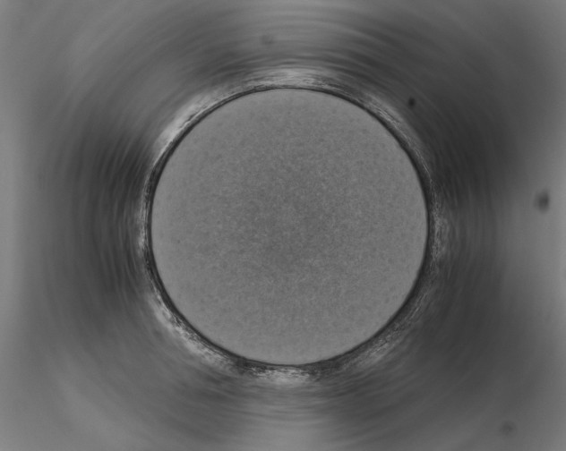 X0000115180994200912091043