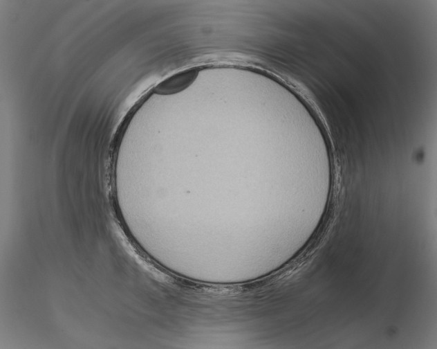 X0000115180997200912091042