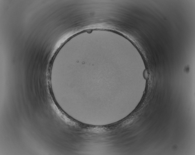 X0000115180998200912091042