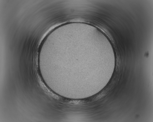 X0000115181000200912091042