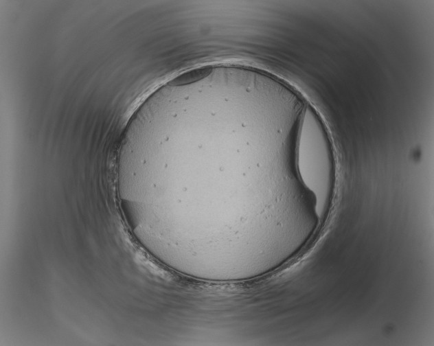 X0000115181001200912091042