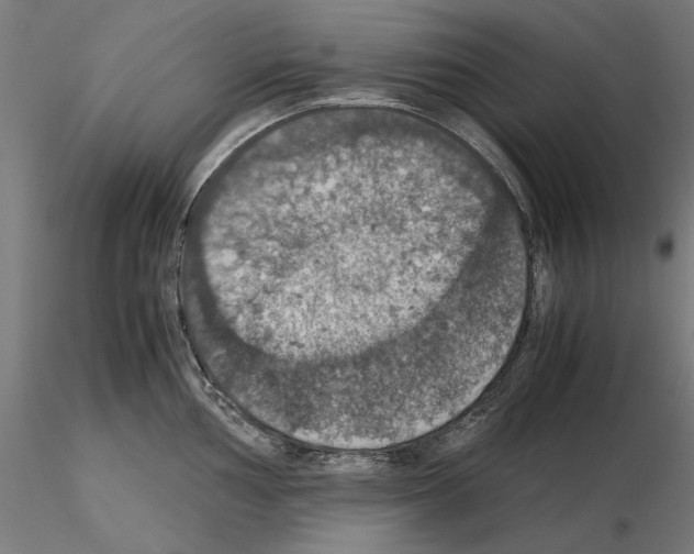 X0000115181002200912091042