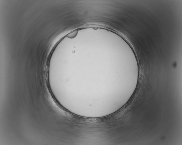 X0000115181003200912091042