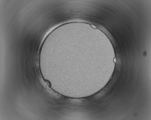X0000115181004200912091042