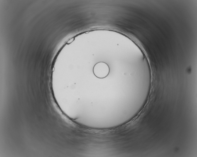 X0000115181005200912091042