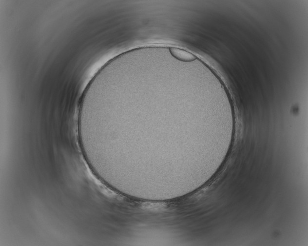 X0000115181006200912091042