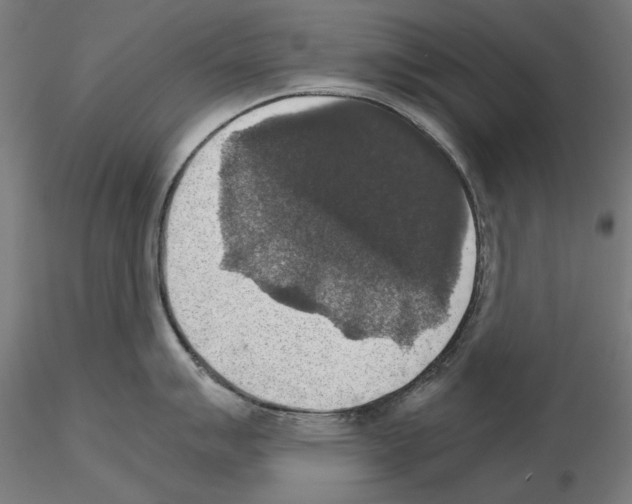 X0000115181007200912091042