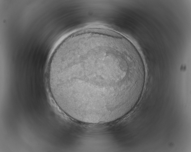X0000115181008200912091042