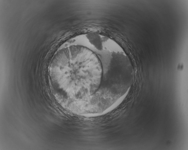 X0000115181009200912091042