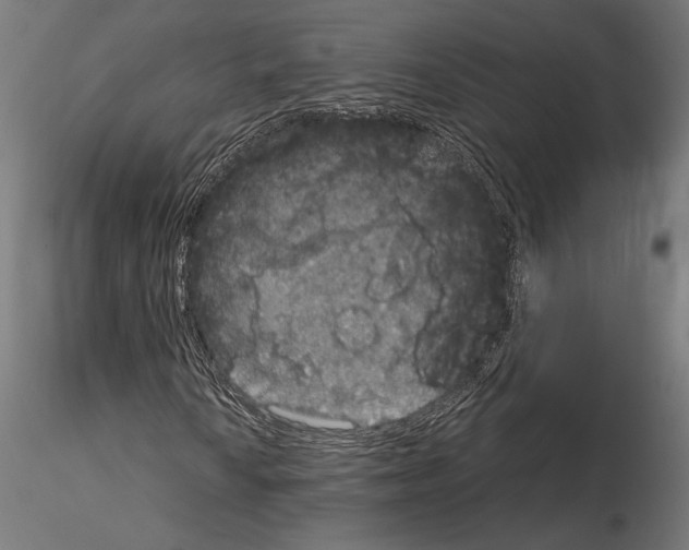 X0000115181010200912091042