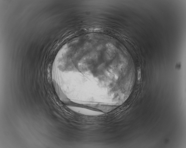 X0000115181011200912091042