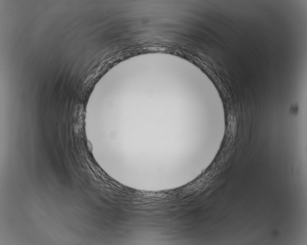 X0000115181012200912091042