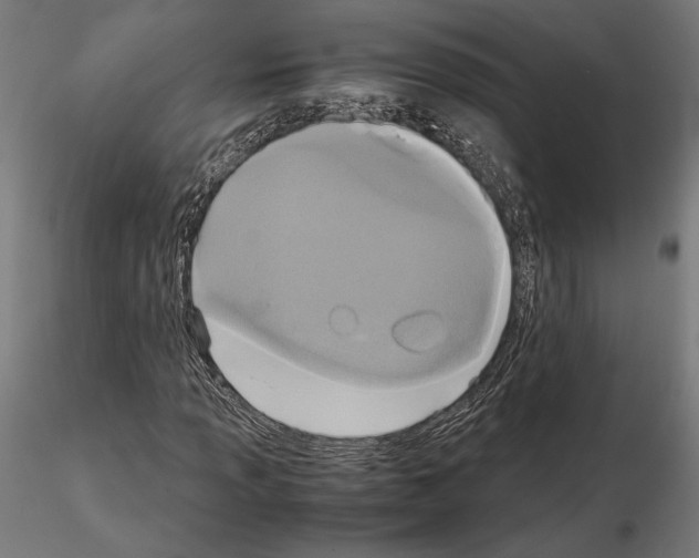 X0000115181013200912091042