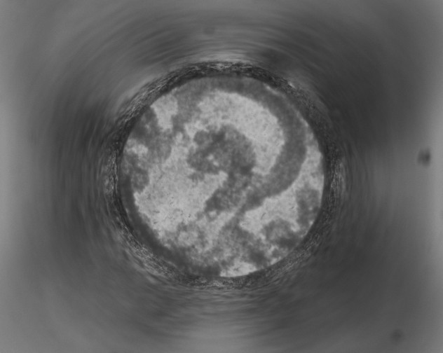 X0000115181014200912091042