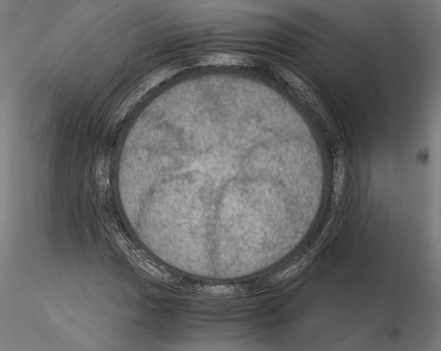 X0000115181017200912091042
