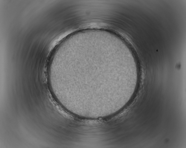 X0000115181018200912091042
