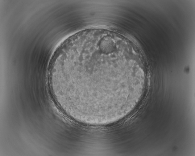 X0000115181020200912091042