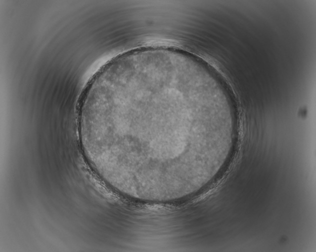 X0000115181022200912091042