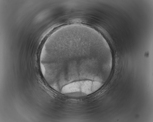 X0000115181023200912091042
