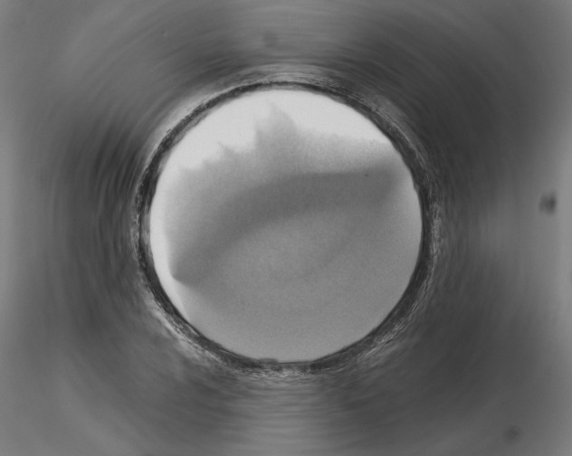 X0000115181024200912091042