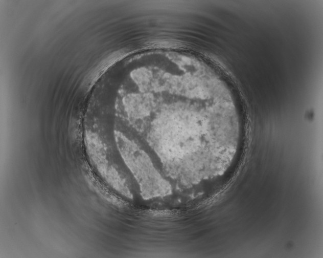 X0000115181025200912091042