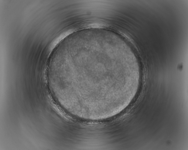 X0000115181026200912091042