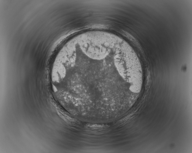 X0000115181027200912091042