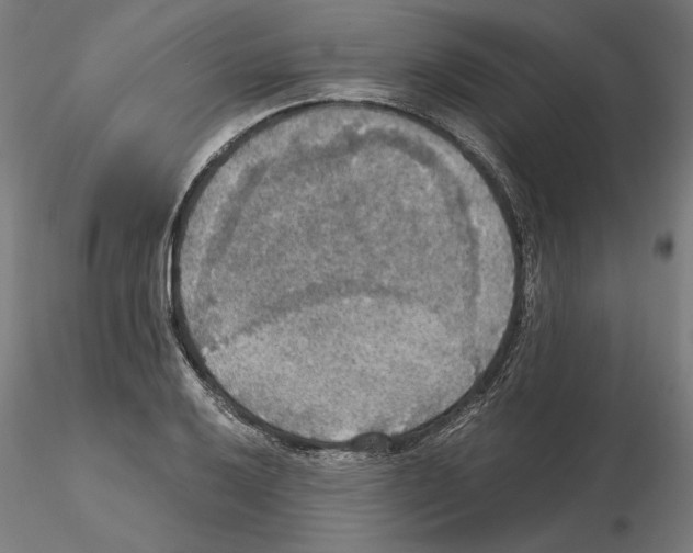 X0000115181032200912091042