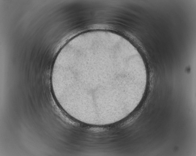 X0000115181033200912091042