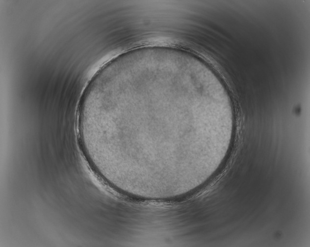 X0000115181034200912091042