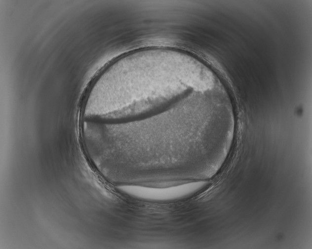 X0000115181035200912091042