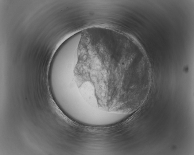 X0000115181036200912091042