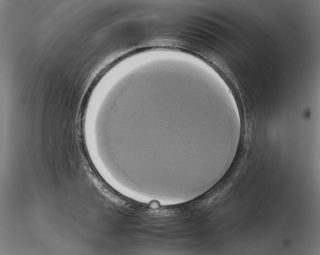 X0000115181037200912091042