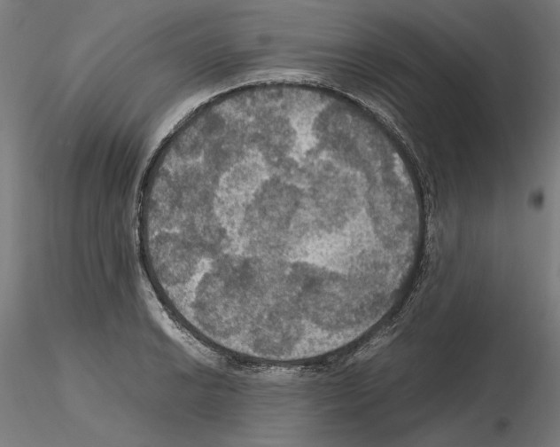 X0000115181038200912091042
