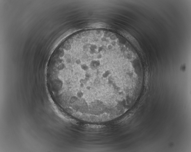 X0000115181039200912091042