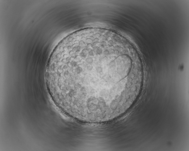 X0000115181040200912091042