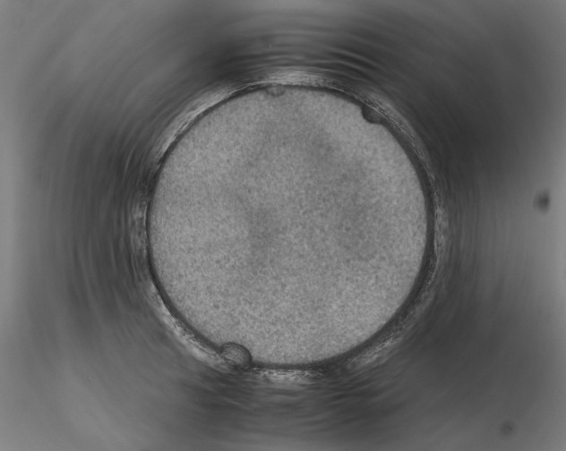 X0000115181041200912091042