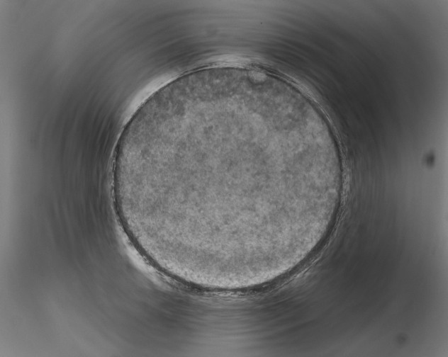 X0000115181042200912091042