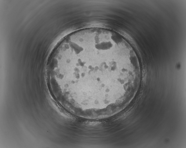 X0000115181043200912091042