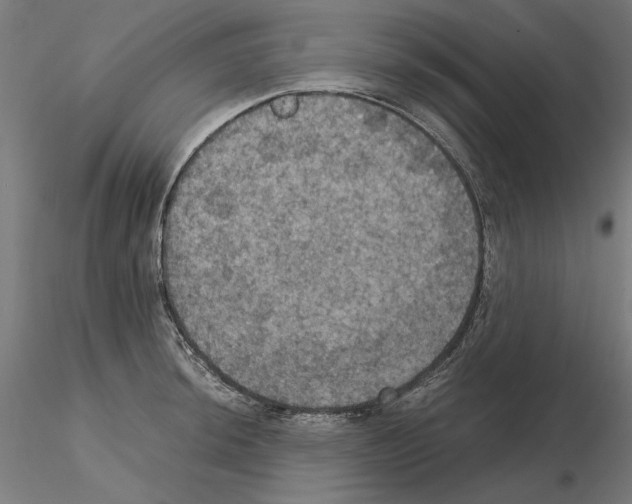 X0000115181044200912091042