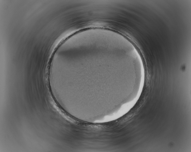 X0000115181045200912091042