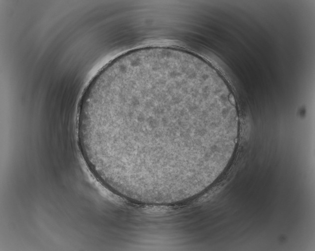 X0000115181046200912091042