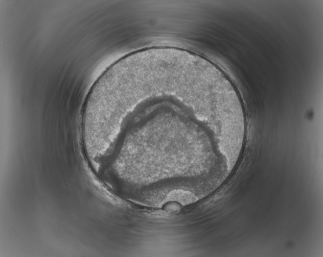 X0000115181048200912091042