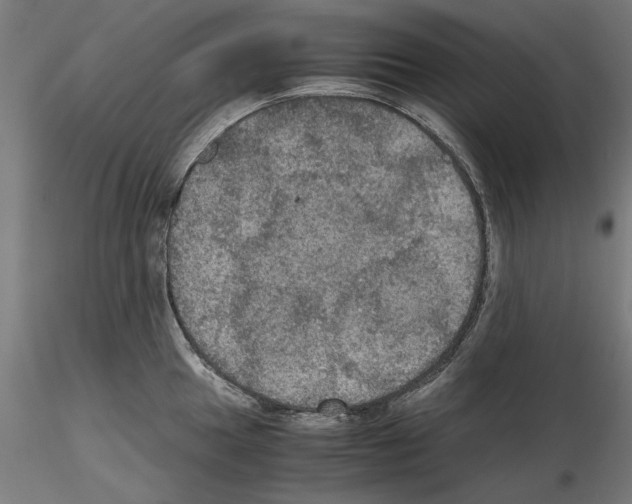 X0000115181049200912091042