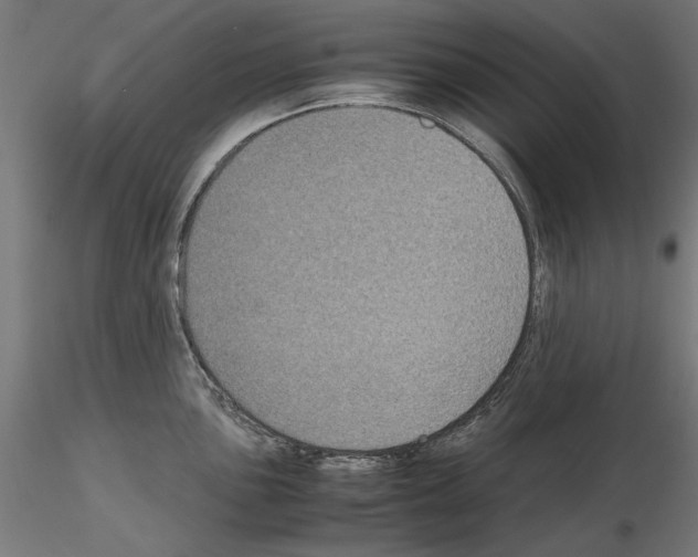 X0000115181051200912091042
