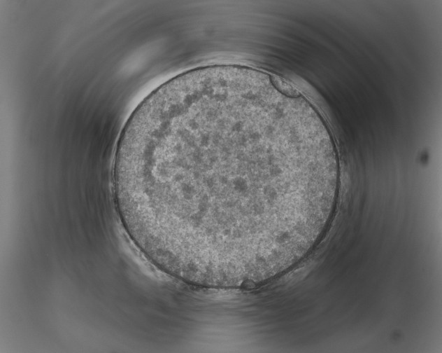 X0000115181052200912091042